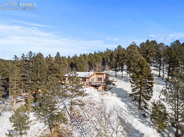 371 Rangeview Road Divide, CO 80814 - Photo 7 of 34 Gallery Image 7