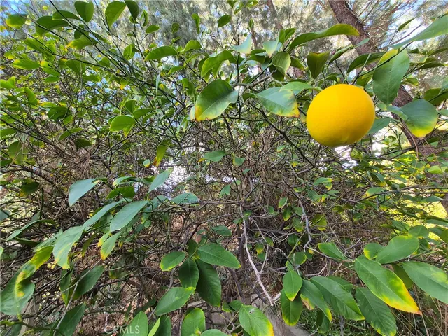 a close view of sink