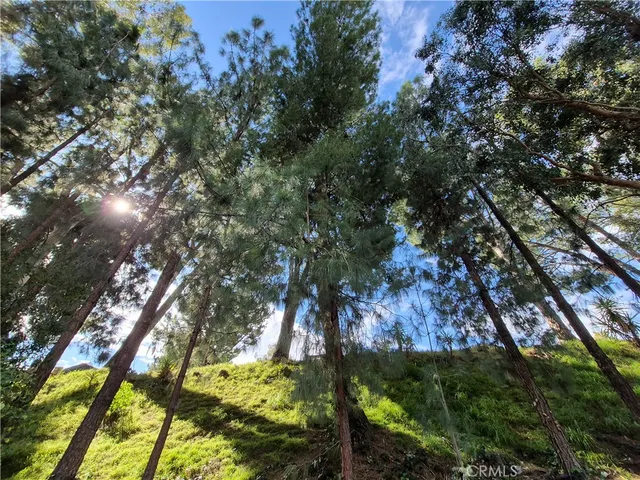 a view of a swimming pool with a yard and plants