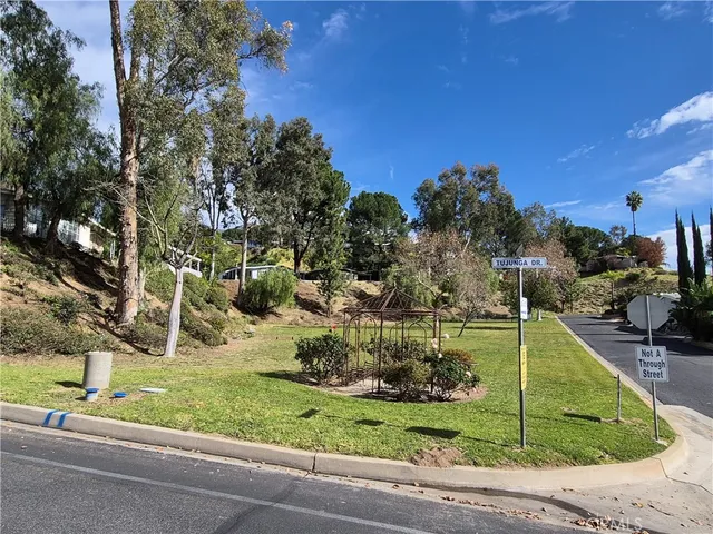a potted plant sitting in front of a glass door