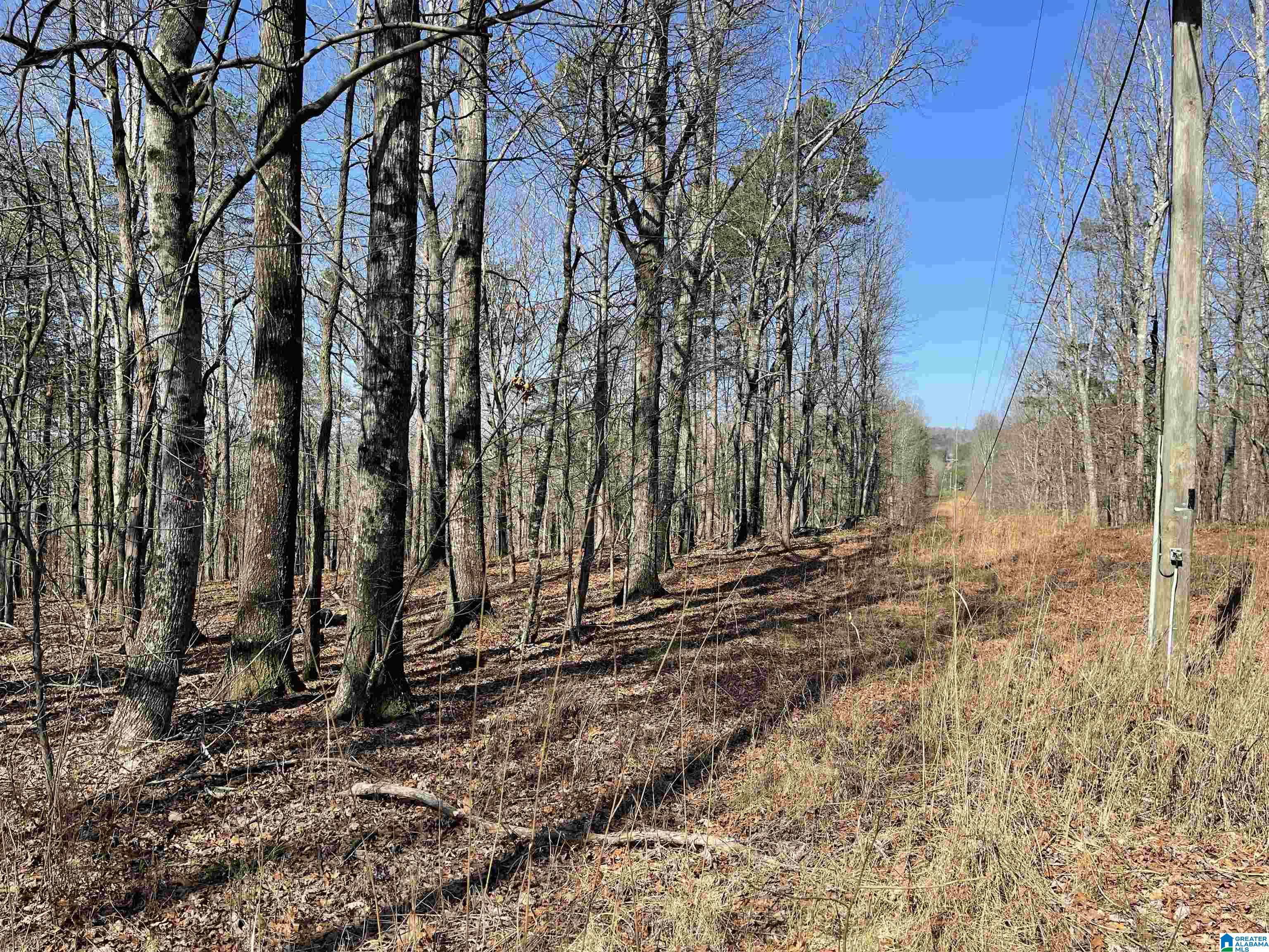 0 County Road 852, Unit 3 Ranburne, AL 36273 - Photo 16 of 23