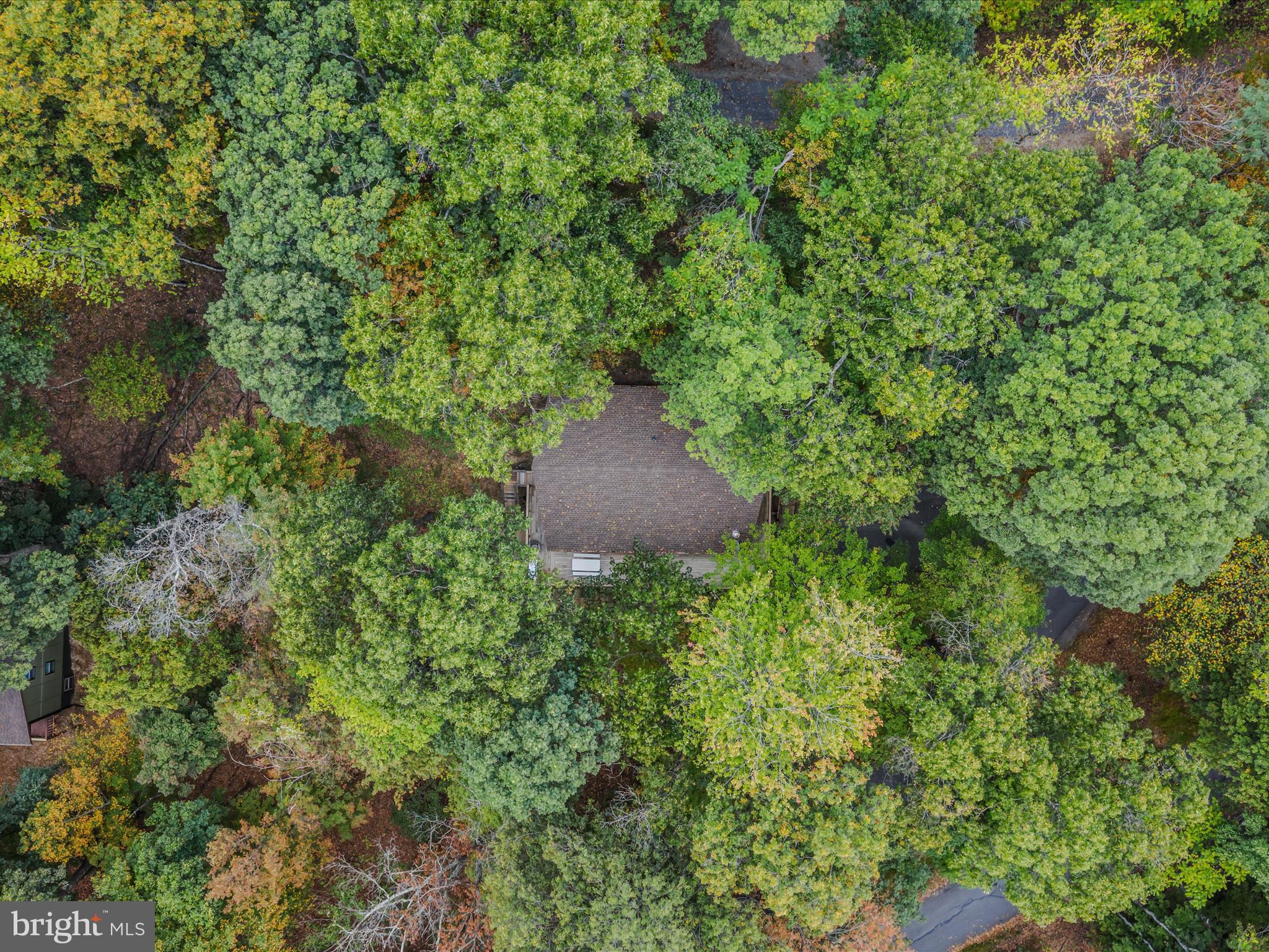 35 Warbler's Way Berkeley Springs, WV 25411 - Photo 39 of 54 a view of a garden with plants and a fountain