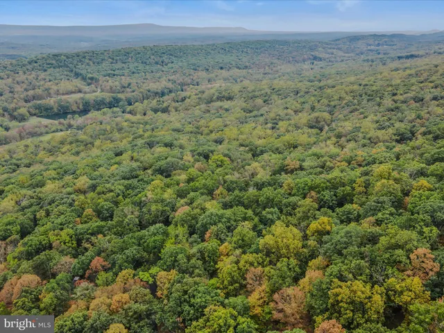 a view of a field with an ocean