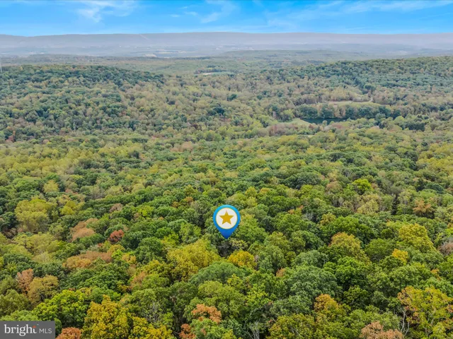 a view of a yard with an outdoor space