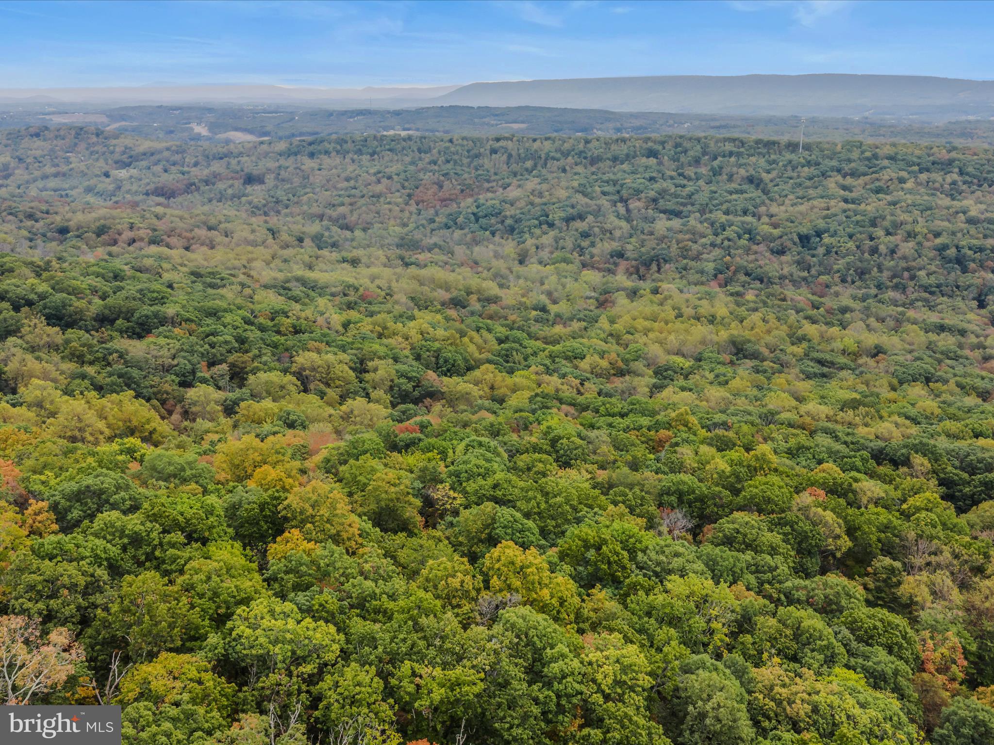 35 Warbler's Way Berkeley Springs, WV 25411 - Photo 45 of 54 a view of a field with an ocean