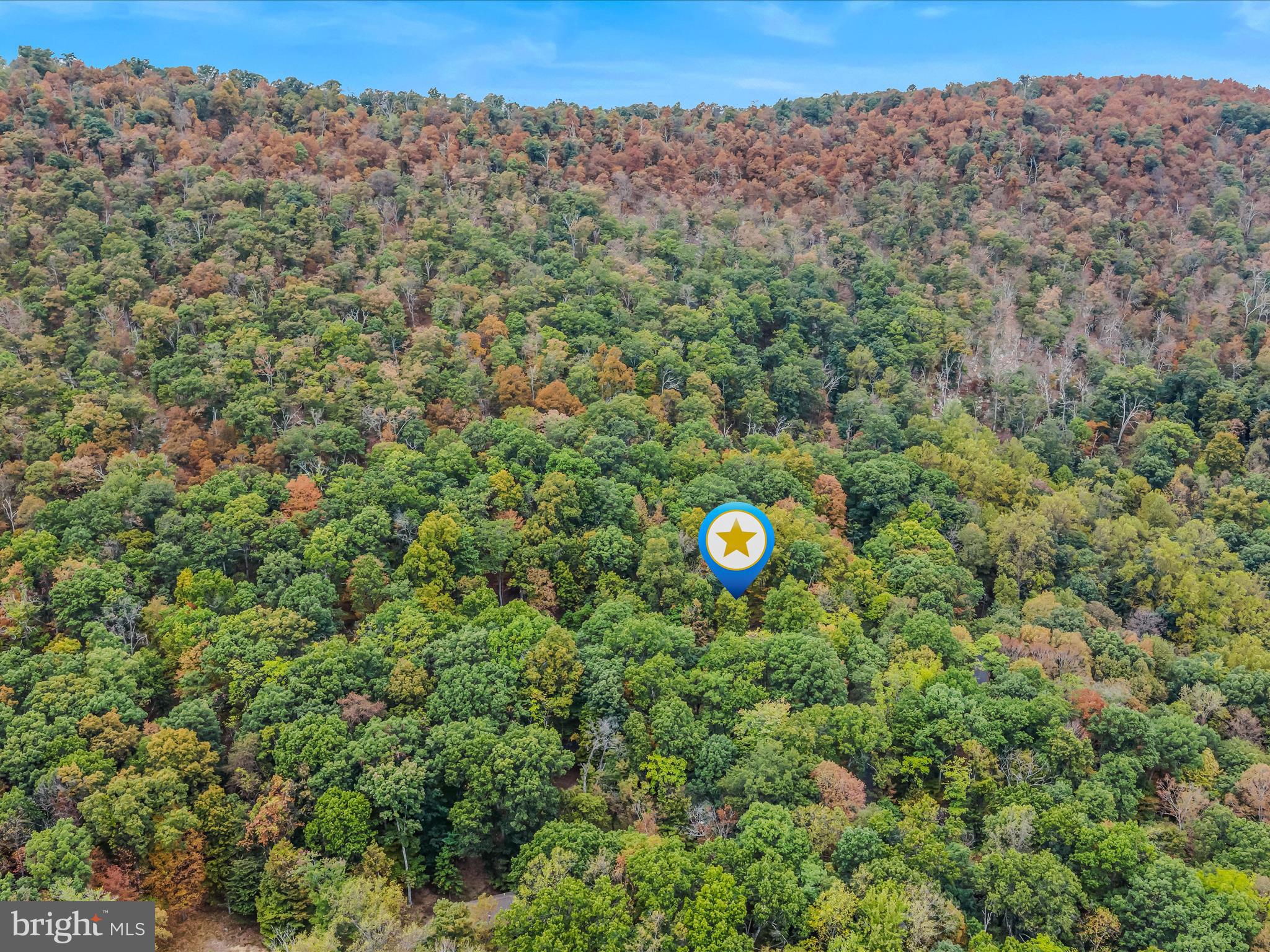 35 Warbler's Way Berkeley Springs, WV 25411 - Photo 48 of 54 a view of a tree with a mountain in the background