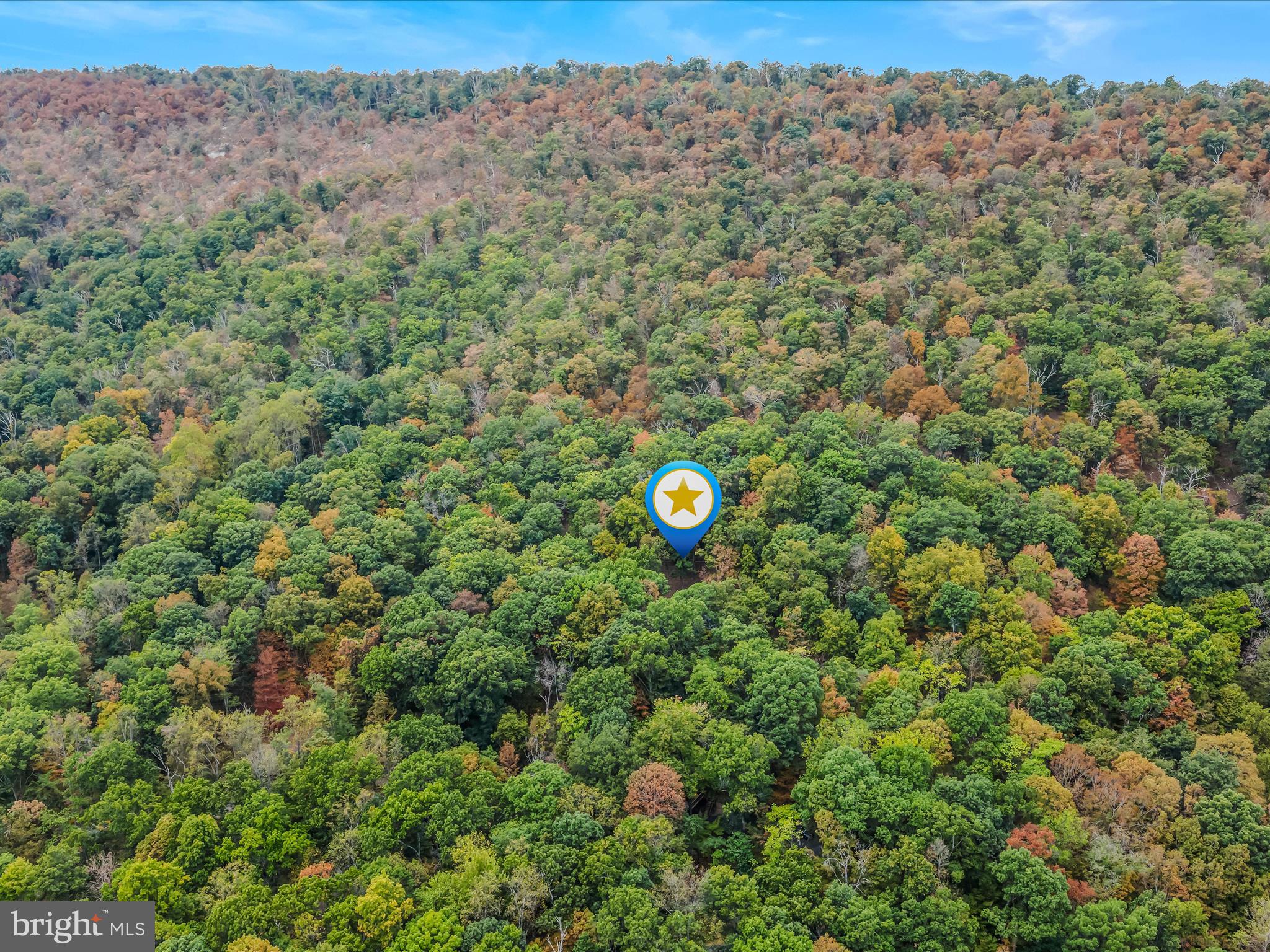 35 Warbler's Way Berkeley Springs, WV 25411 - Photo 50 of 54 a view of a forest with trees in the background