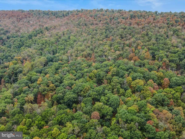 $445,000 | 35 Warbler's Way, Berkeley Springs, WV 25411
