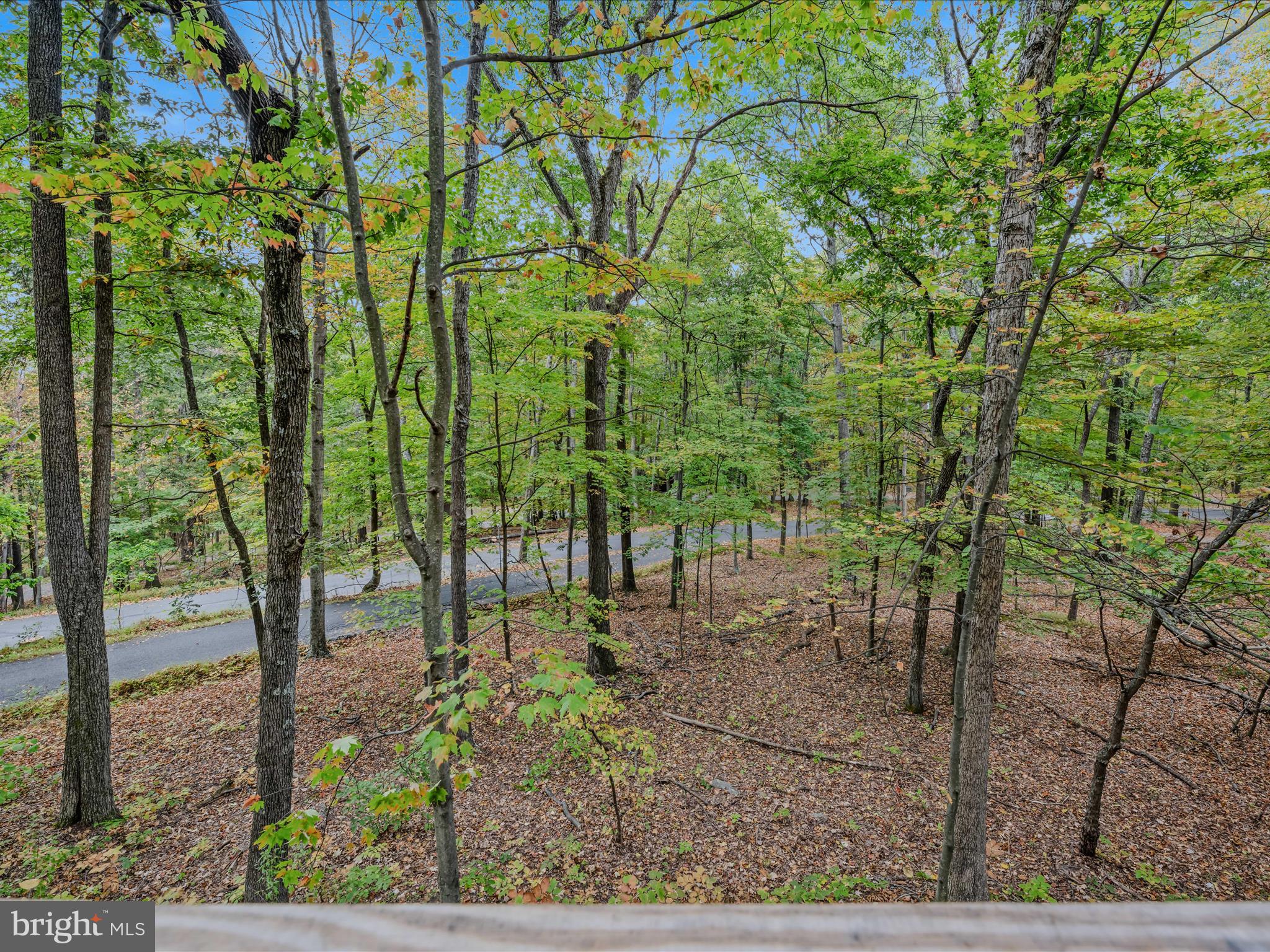 35 Warbler's Way Berkeley Springs, WV 25411 - Photo 8 of 54 a view of yard