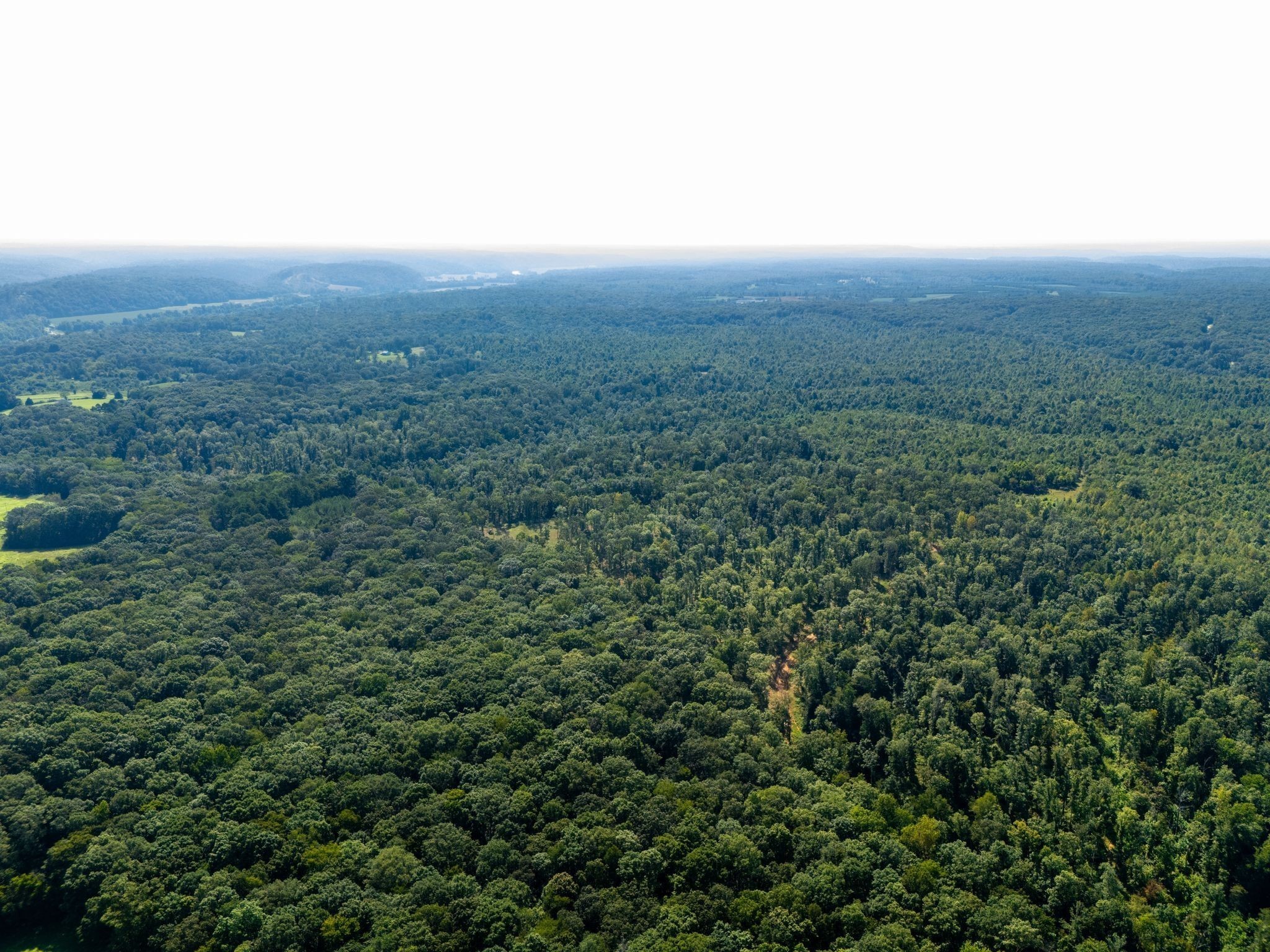 505 Dyer Road Hurricane Mills, TN 37078 - Photo 8 of 36 an aerial view of residential house and green space
