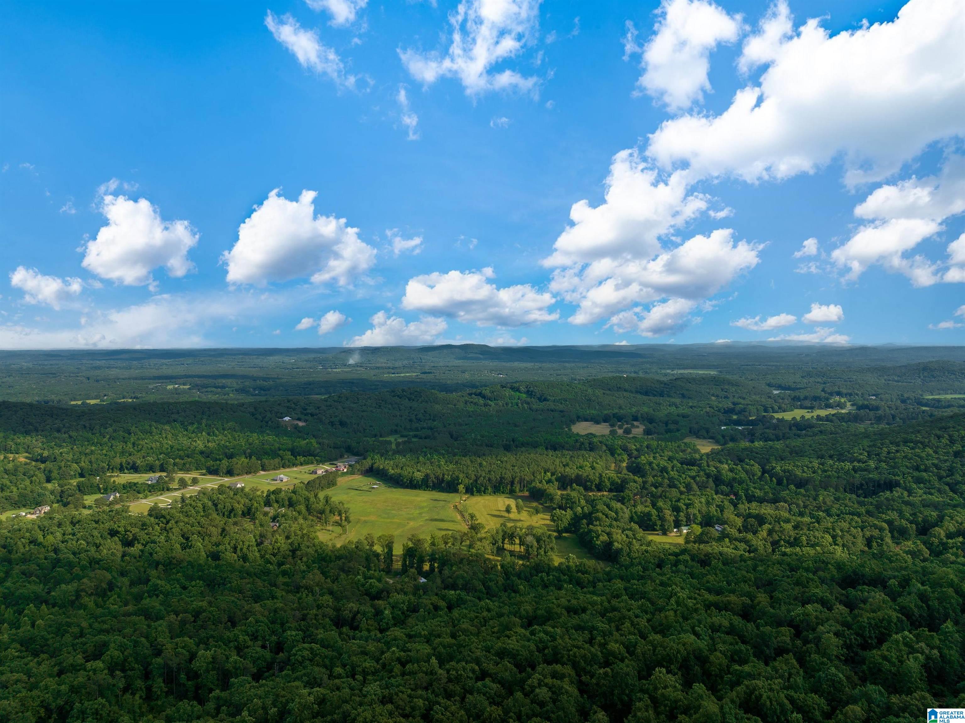5924 Co Highway 24 Springville, AL 35146 - Photo 36 of 50