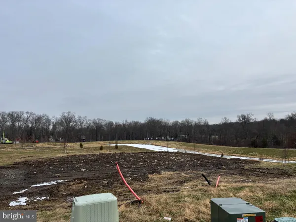 a view of a town with large trees