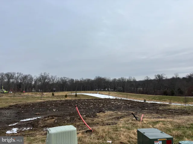 a view of a town with large trees