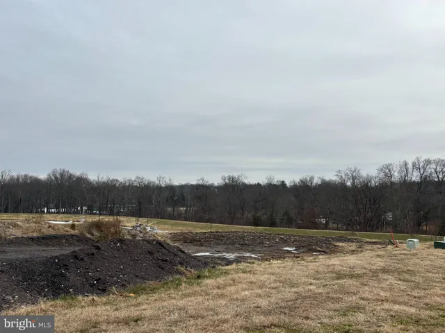 a view of a dry yard with trees
