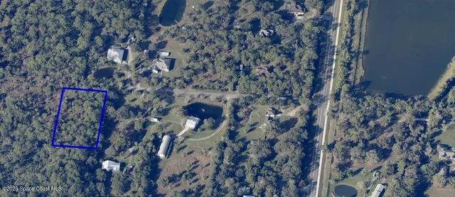 a close up of a tree