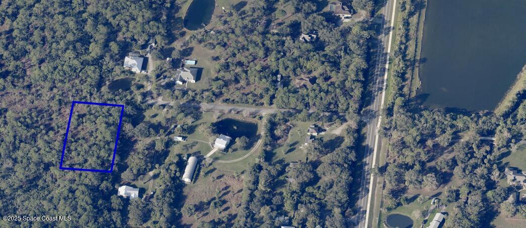 a close up of a tree