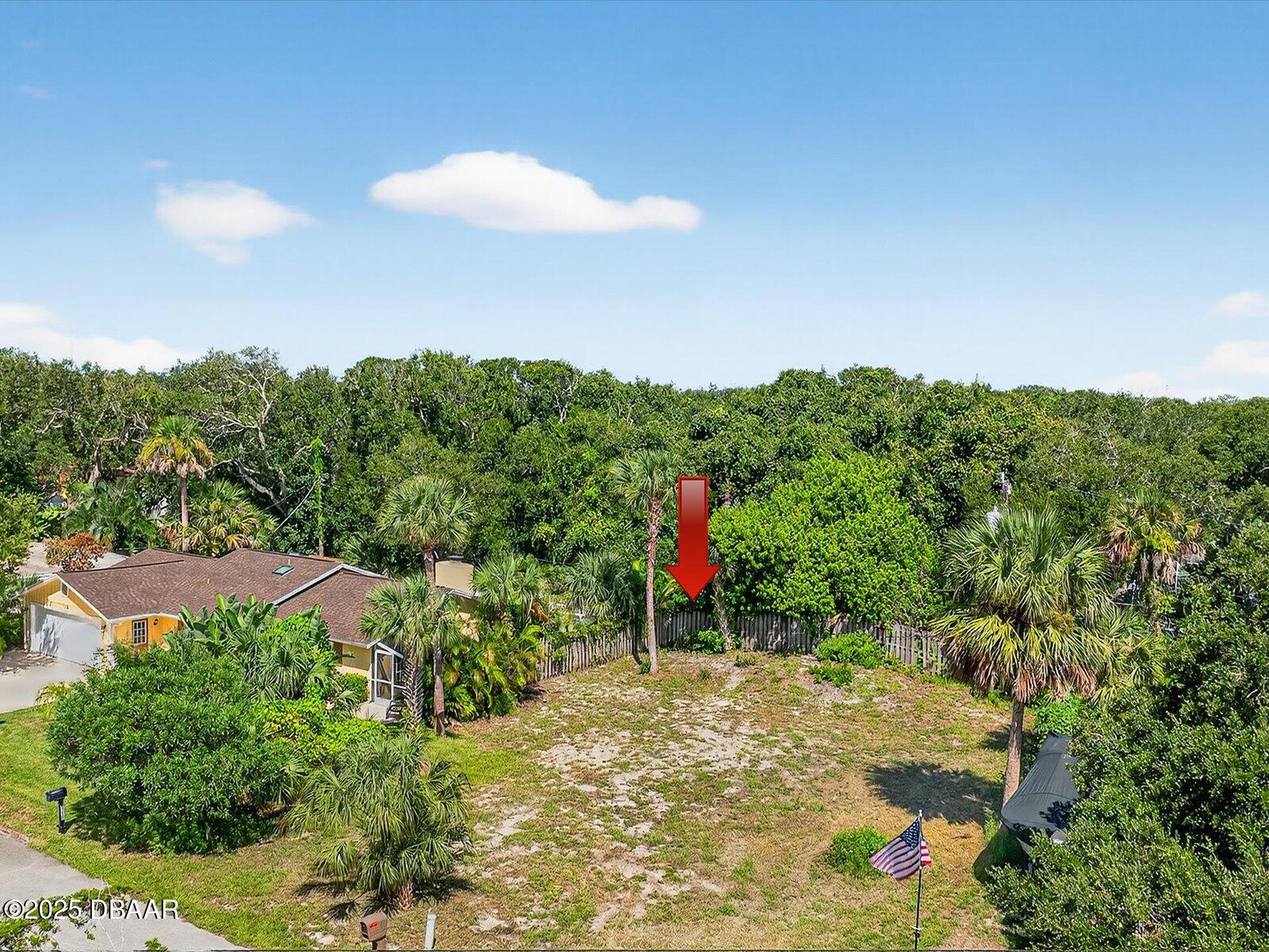 116 Rains Drive Ponce Inlet, FL 32127 - Photo 12 of 14 a view of a back yard