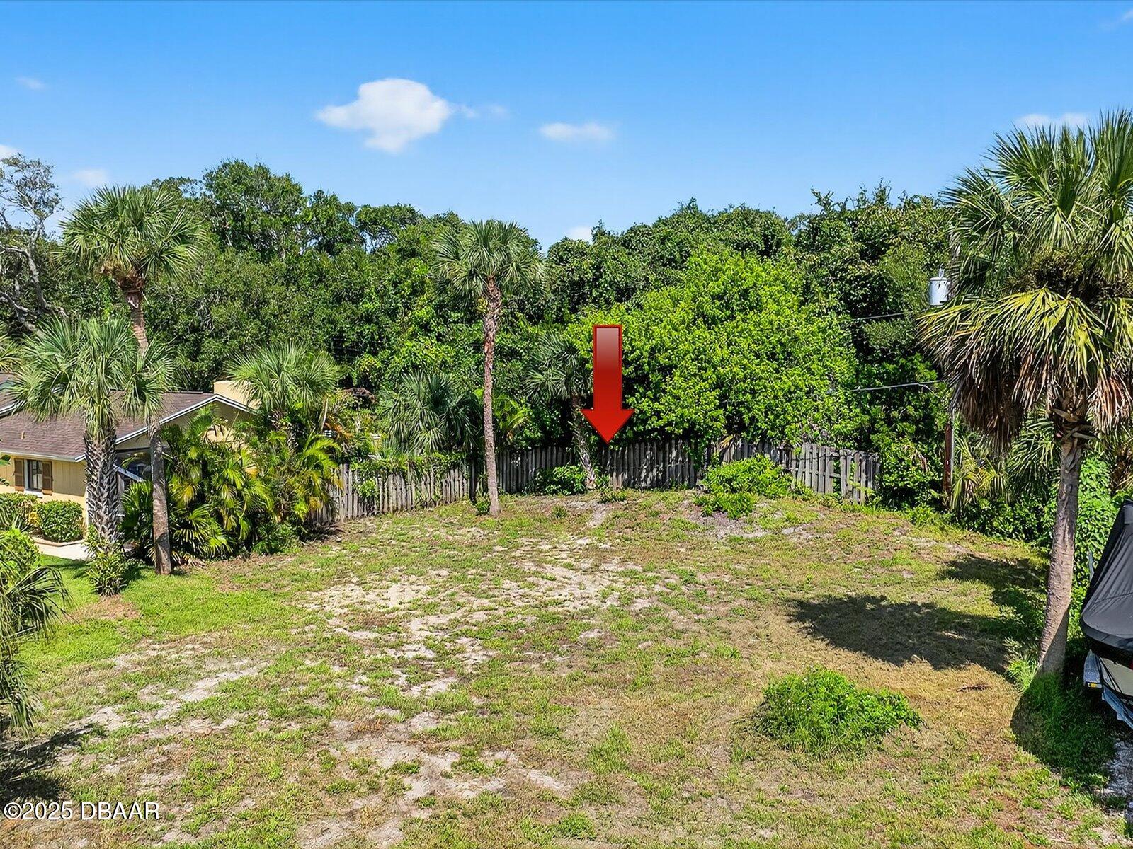116 Rains Drive Ponce Inlet, FL 32127 - Photo 8 of 14 a view of a yard