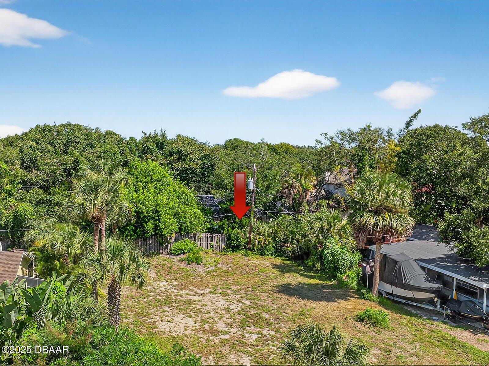 116 Rains Drive Ponce Inlet, FL 32127 - Photo 10 of 14 a view of a yard