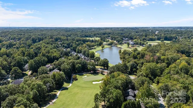a view of staircase with wooden floor and a potted plant