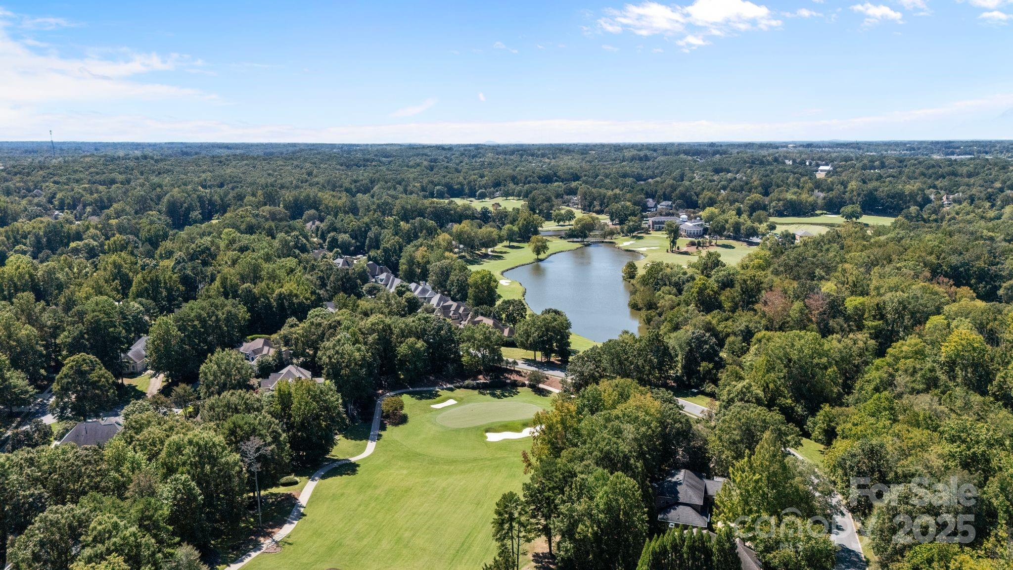 15107 Rocky Bluff Loop Davidson, NC 28036 - Photo 11 of 42