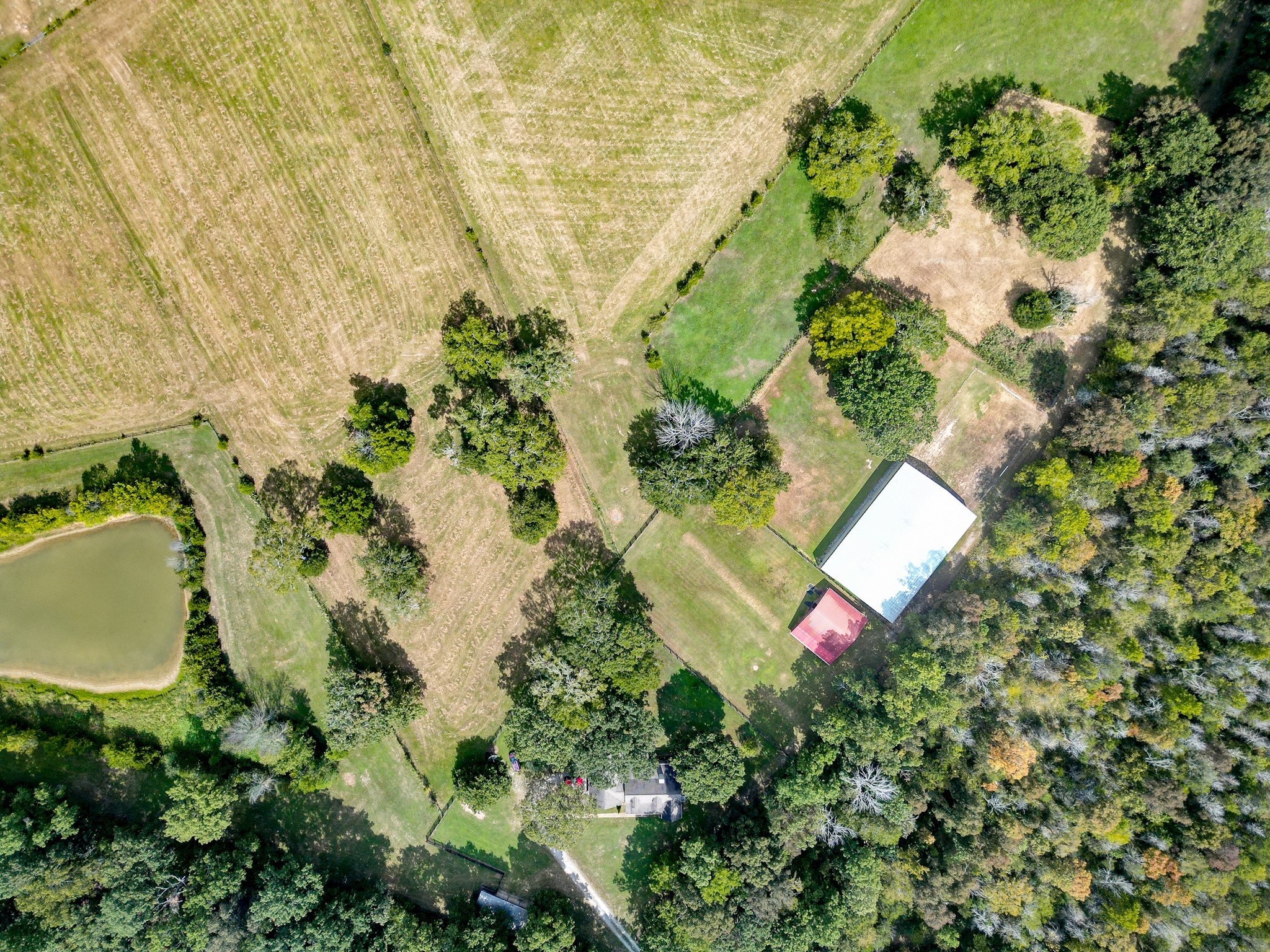 5010 John Lee Johnson Road Columbia, TN 38401 - Photo 47 of 63