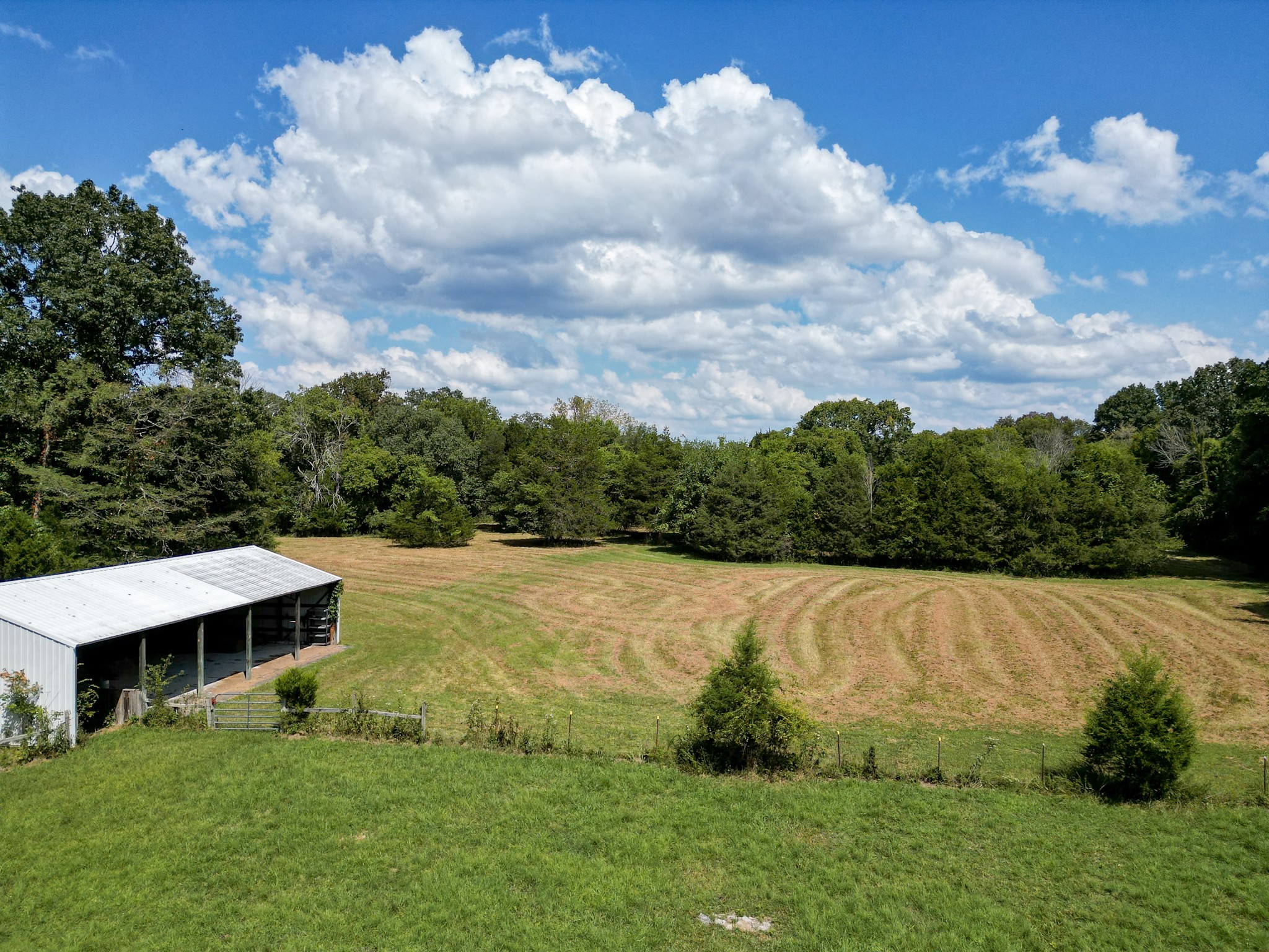 5010 John Lee Johnson Road Columbia, TN 38401 - Photo 57 of 63