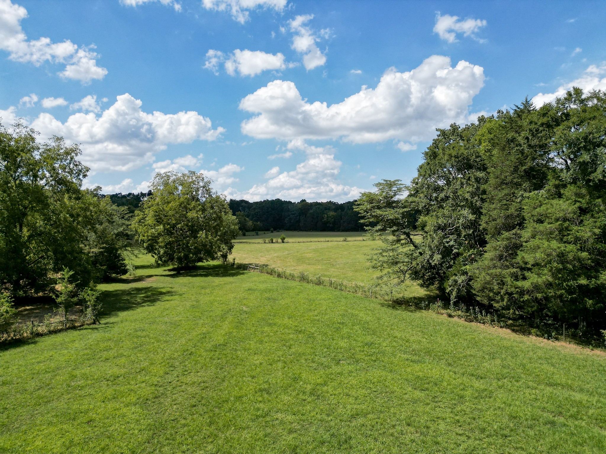 5010 John Lee Johnson Road Columbia, TN 38401 - Photo 58 of 63