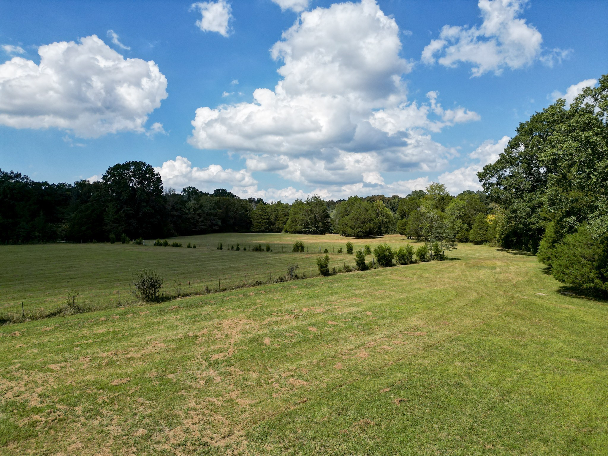 5010 John Lee Johnson Road Columbia, TN 38401 - Photo 59 of 63