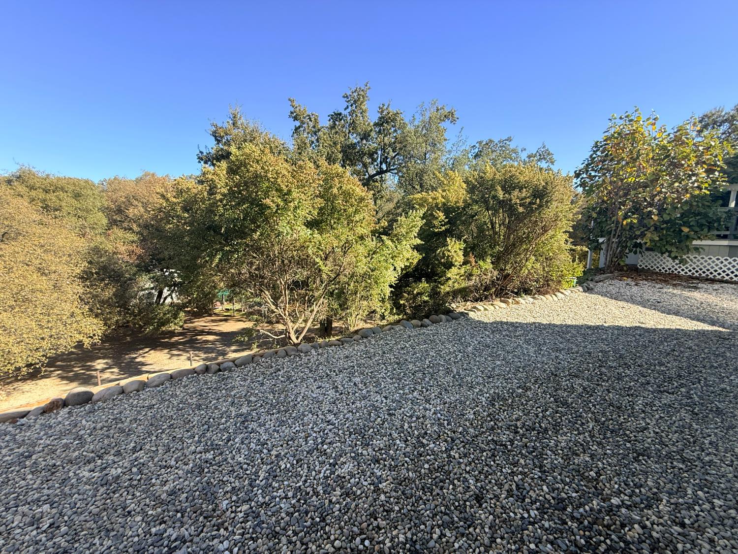 4390 Patterson Drive, Unit 218 Diamond Springs, CA 95619 - Photo 44 of 45 a view of a yard with plants and trees