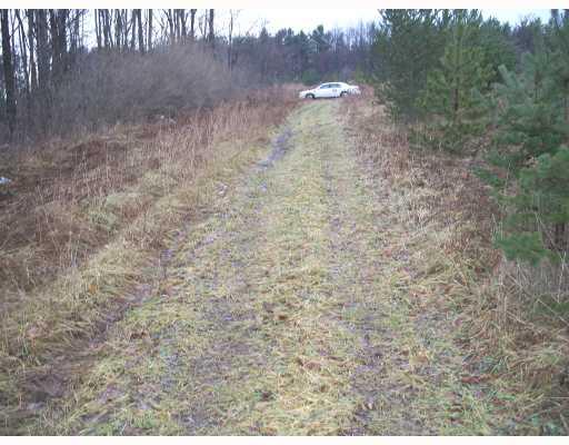 Sugar Maple Drive Windber, PA 15963 - Photo 3 of 5 Land.