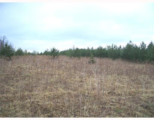 Sugar Maple Drive Windber, PA 15963 - Photo 4 of 5 Land.