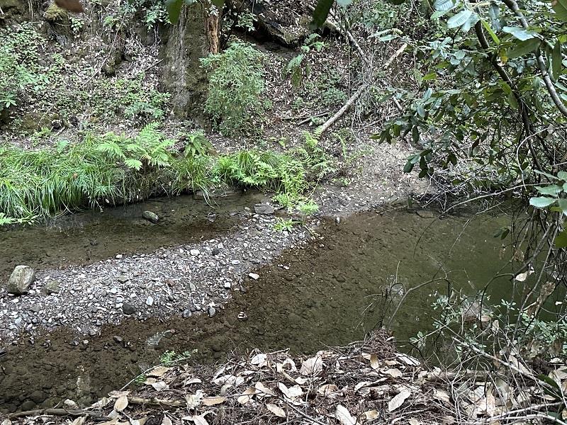 0 Logan Creek Road Boulder Creek, CA 95006 - Photo 3 of 13 a view of a lake with lots of trees