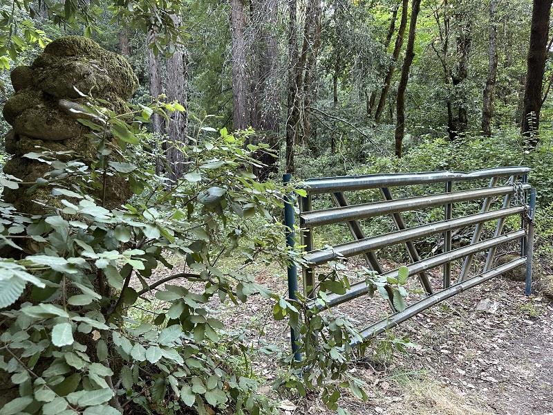 0 Logan Creek Road Boulder Creek, CA 95006 - Photo 10 of 13 a view of a wooden fence with trees