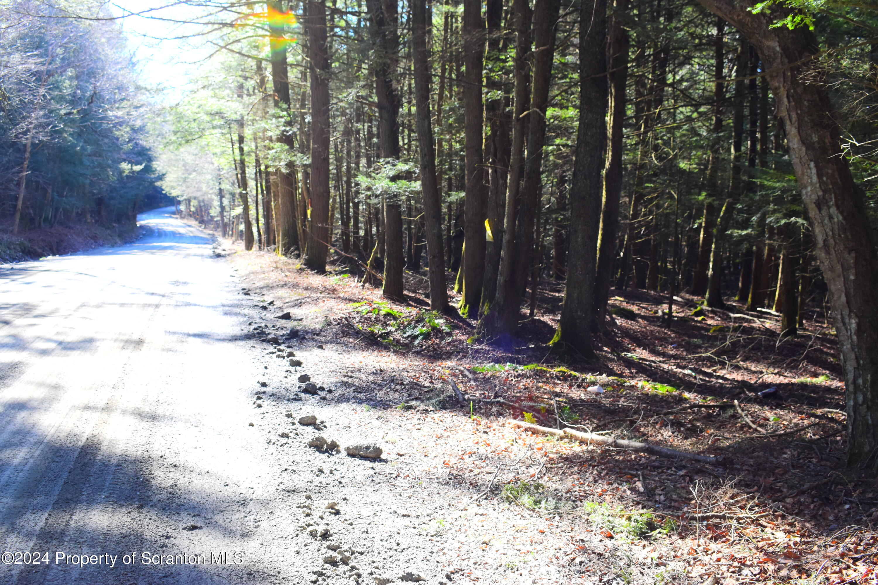 2014 State Route Lenoxville, PA 18441 - Photo 24 of 30