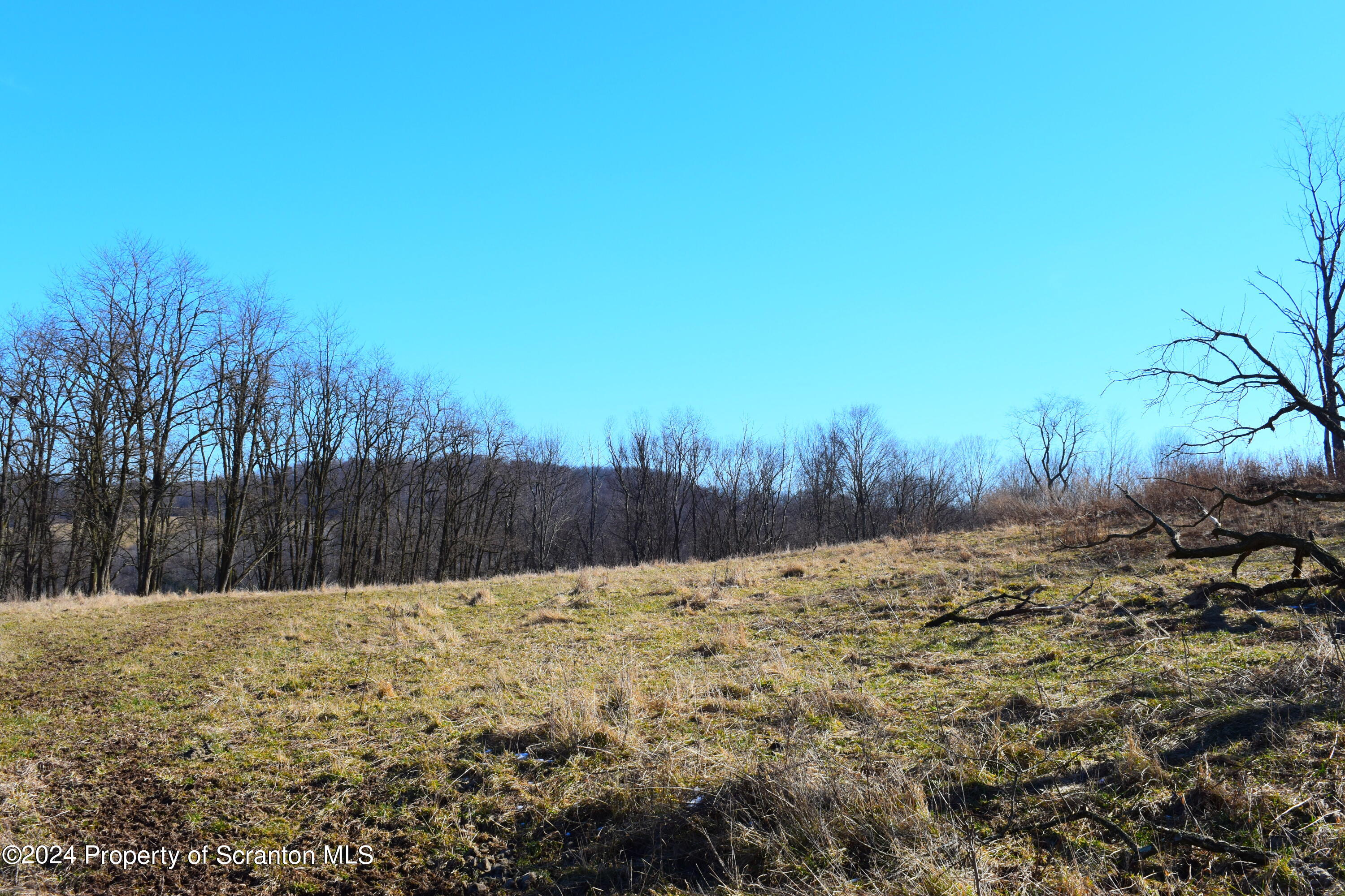 2014 State Route Lenoxville, PA 18441 - Photo 4 of 30