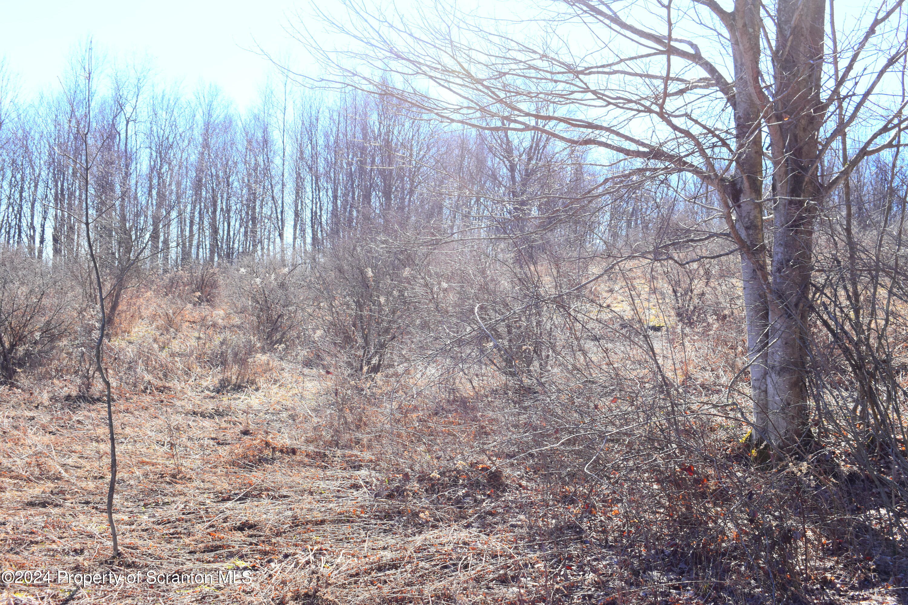 2014 State Route Lenoxville, PA 18441 - Photo 7 of 30