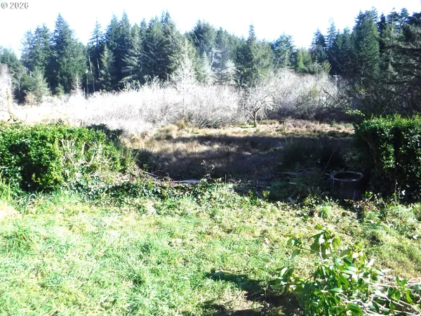 a view of a garden with a bench