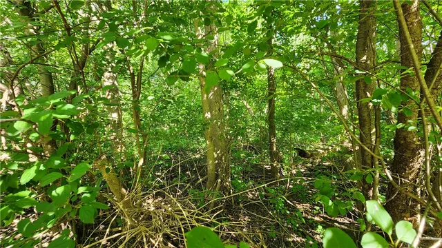 $30,000 | Vendome Drive South, Gates, NY 14606