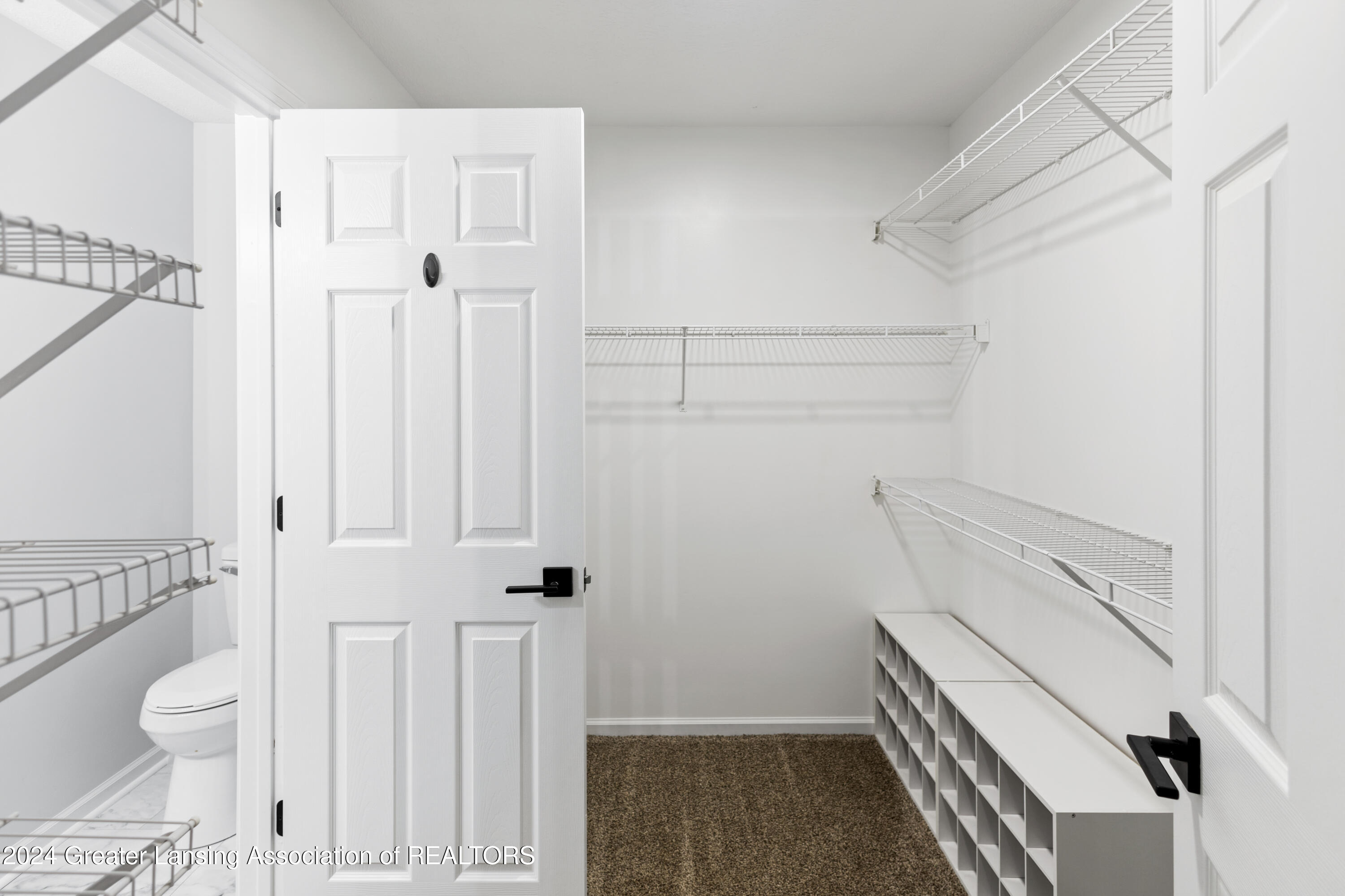 6727 Spring Tree Lane Lansing, MI 48917 - Photo 22 of 50 IMG_7934