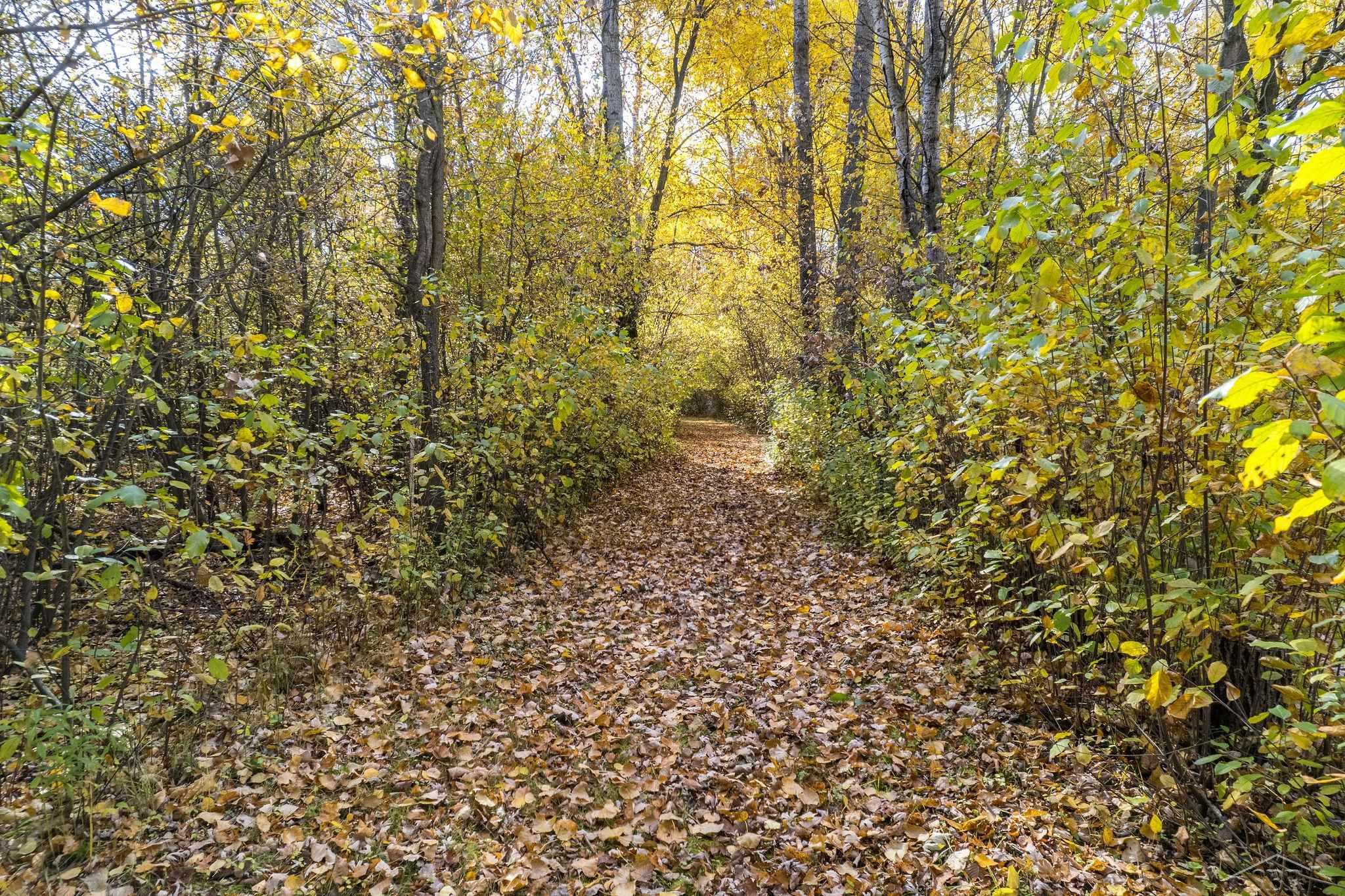 2302 East Freeland Road Midland, MI 48640 - Photo 43 of 48 Trail To the Woods
