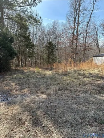 a view of a yard with trees