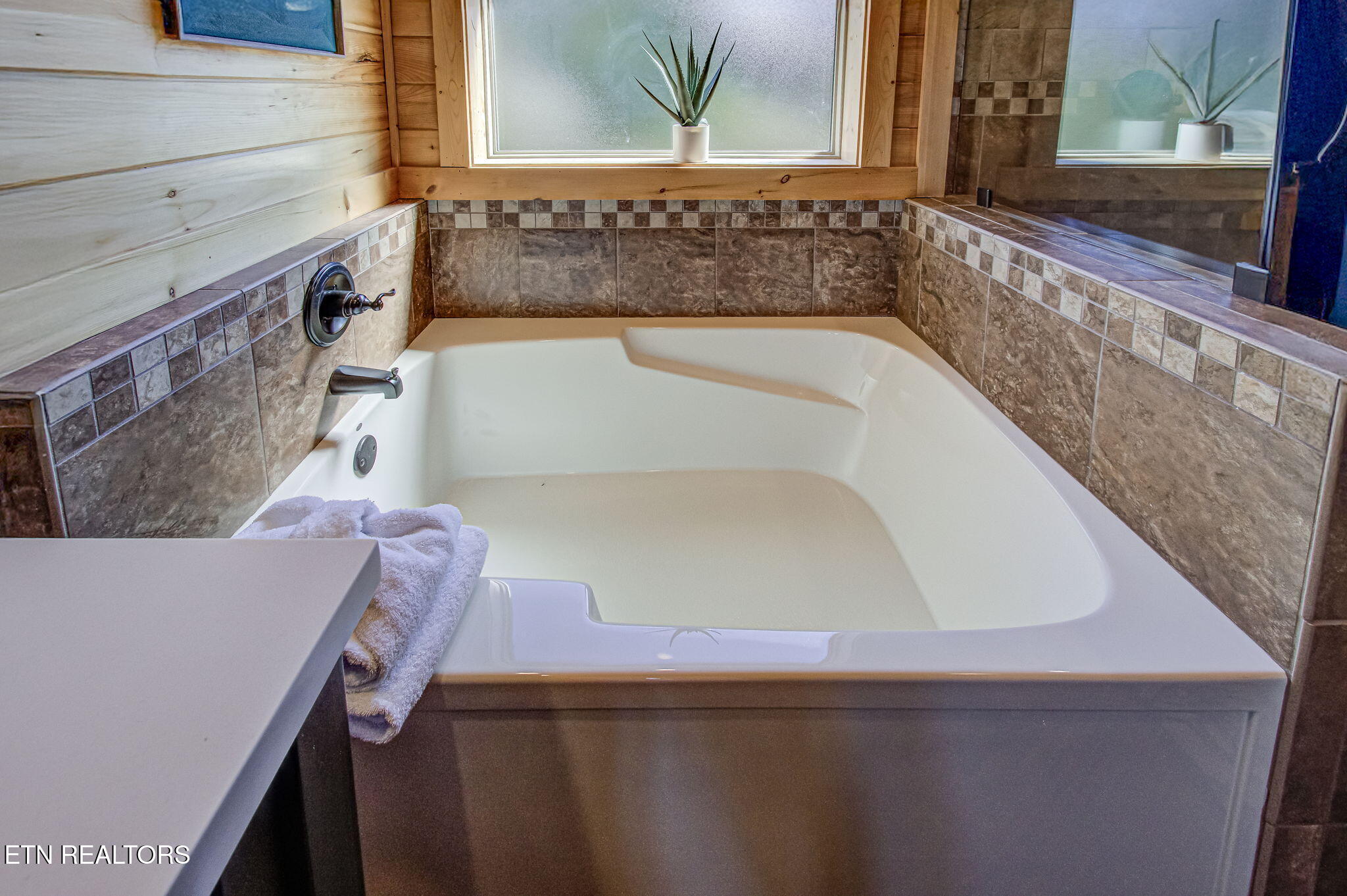 2498 Black Bear Ridge Way Sevierville, TN 37862 - Photo 35 of 54 IMG_8533