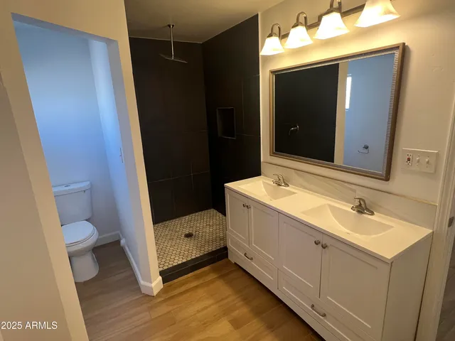a bathroom with a sink a toilet and mirror