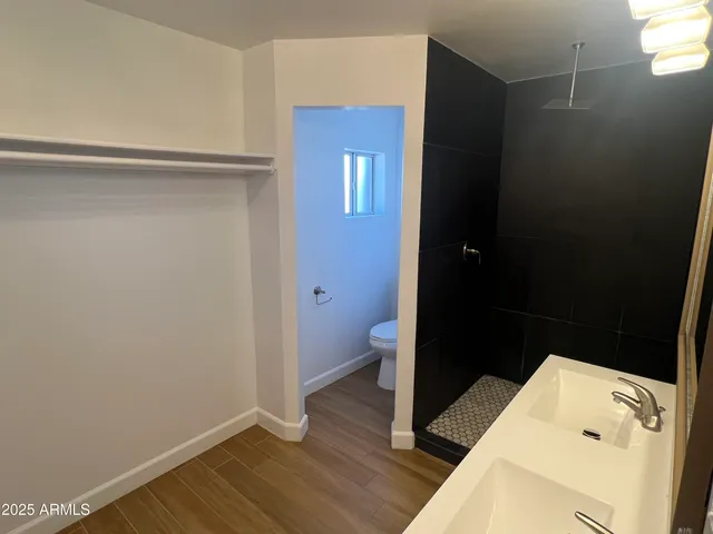 a bathroom with a sink and a toilet