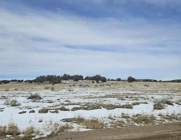 $25,000 | 0 County Road 93.9, Model, CO 81059