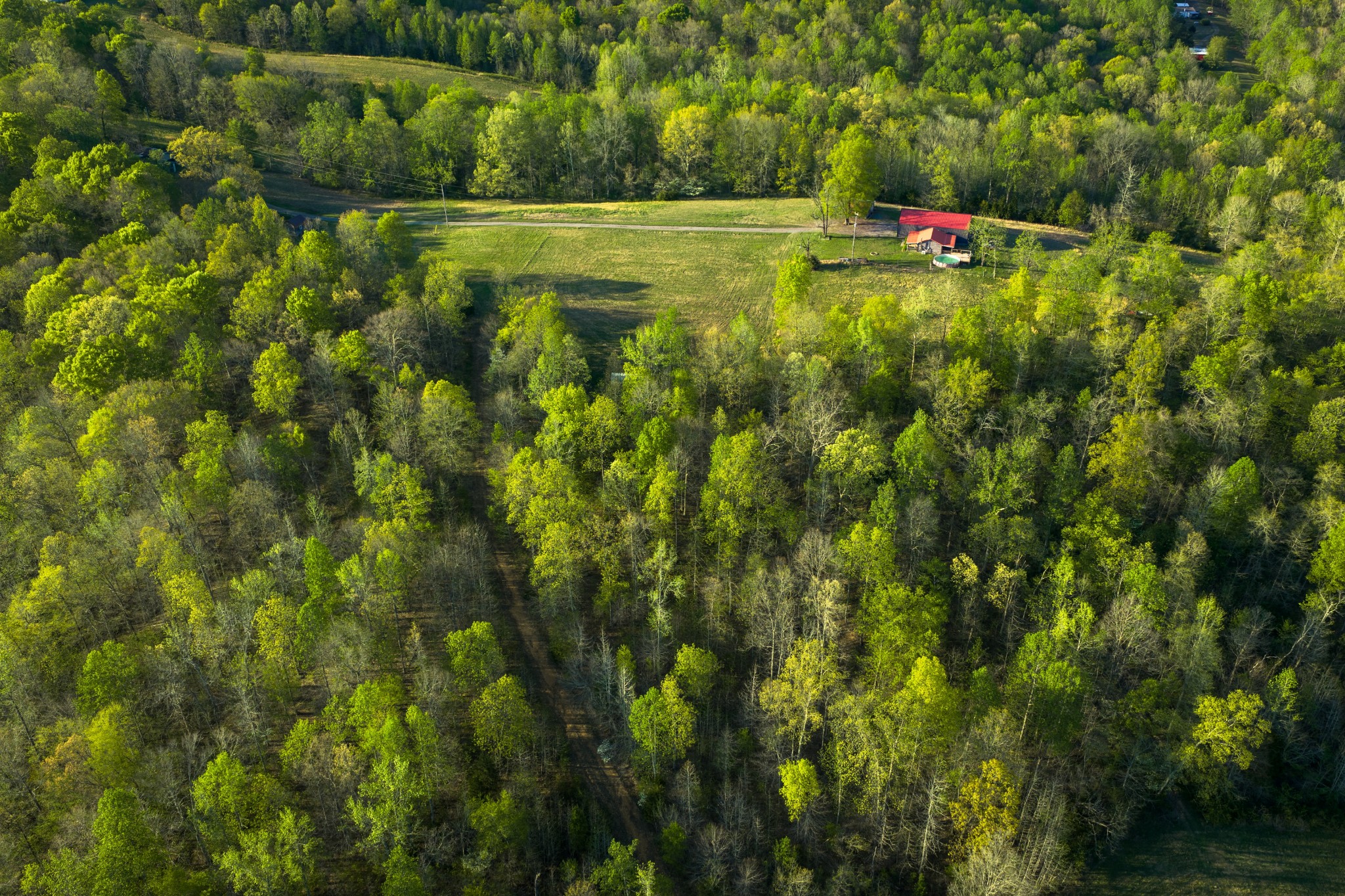 4231 Lylewood Road Indian Mound, TN 37079 - Photo 21 of 36 Gallery Image 21