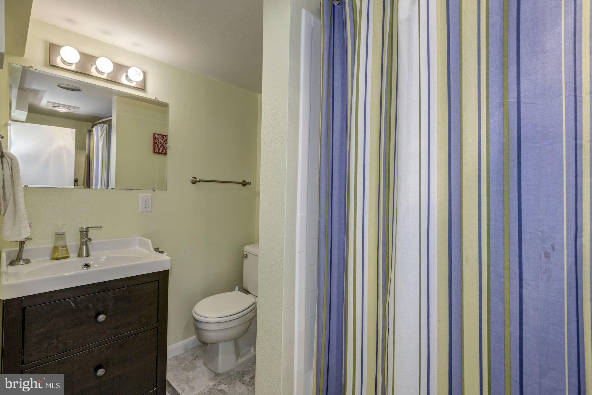 254 8th Street Southeast Washington, DC 20003 - Photo 26 of 30 Basement