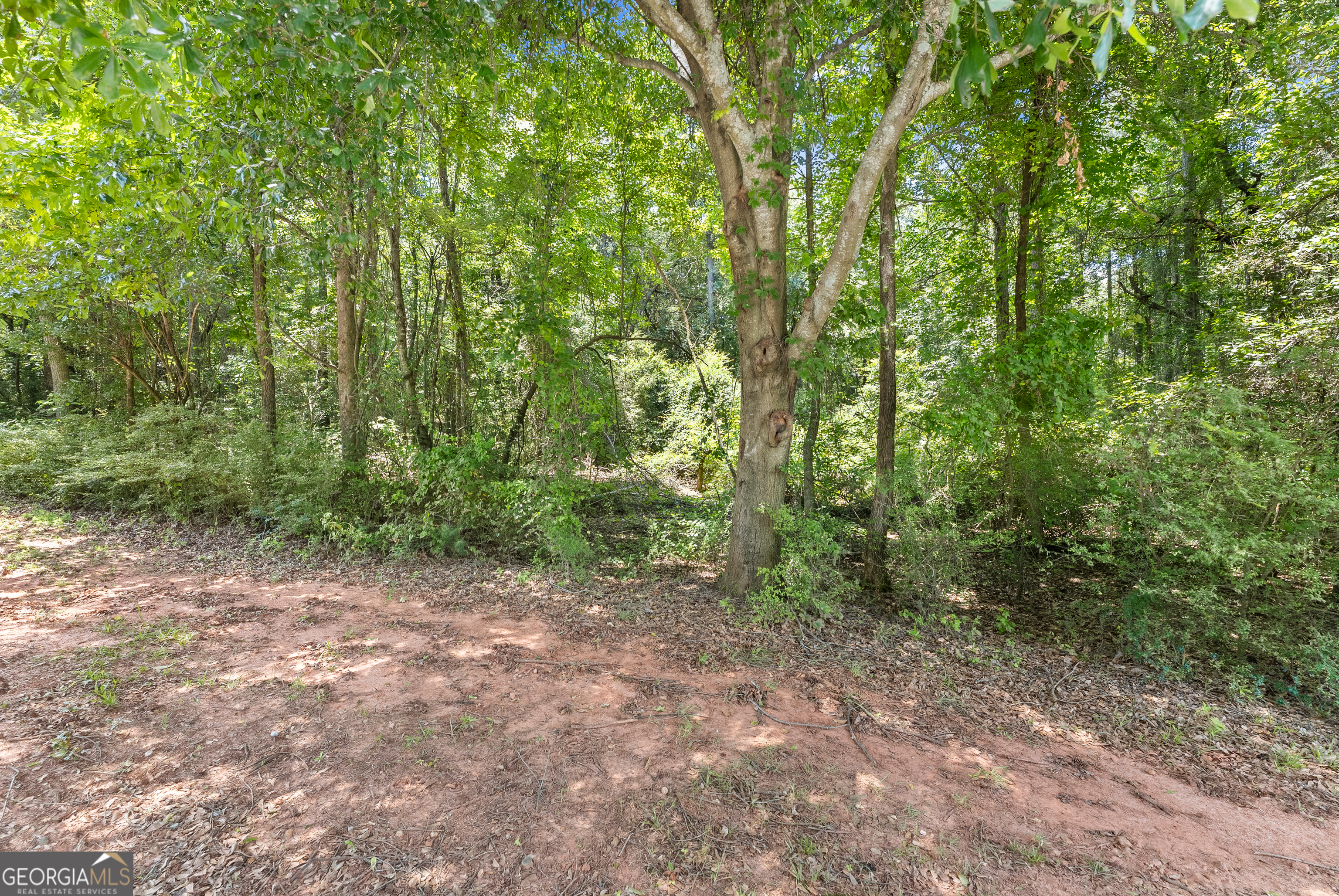 0 Mountain Creek Church Road Talmo, GA 30567 - Photo 10 of 25