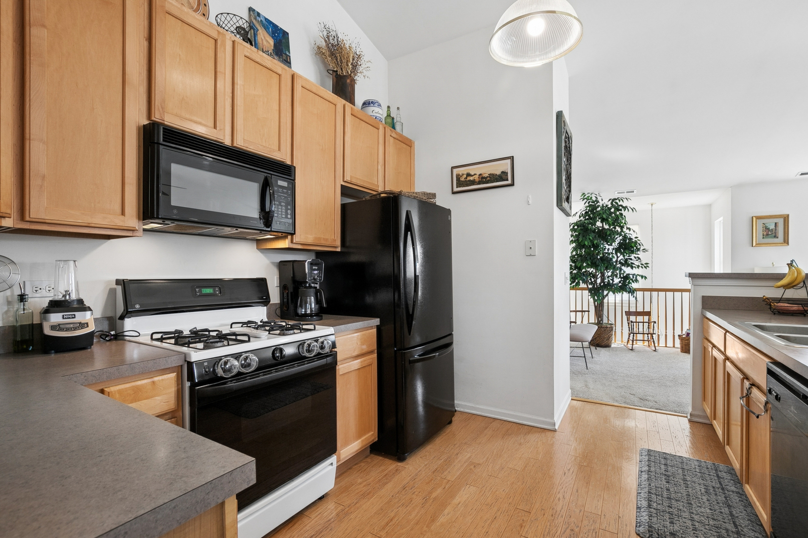 3099 Falling Waters Lane Lindenhurst, IL 60046 - Photo 5 of 20